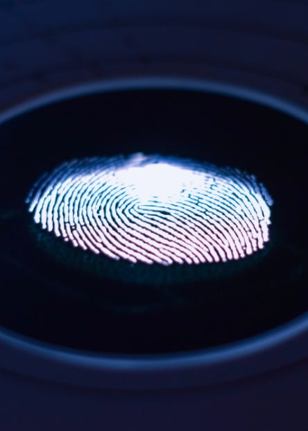 A finger print on a digital device.